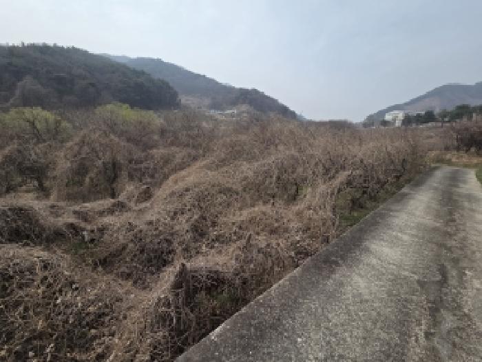 경남 창원시 의창구 북면 전답 경매 물건 사진