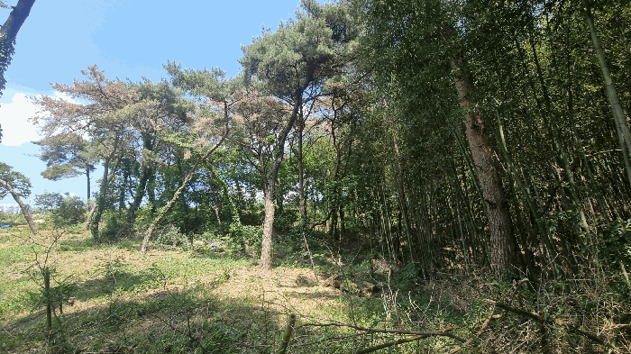 경남 김해시 한림면 임야 경매 물건 사진 6 · 2026타경10578