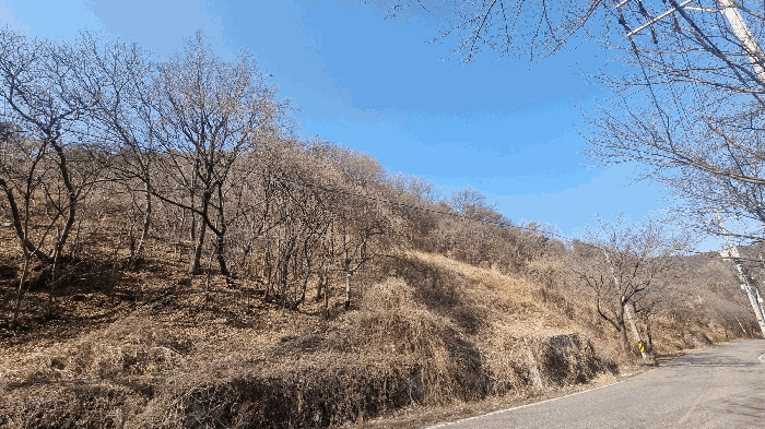 경남 김해시 생림면 임야 경매 물건 사진 5 · 2026타경20