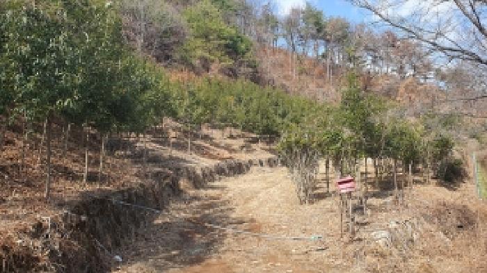 경남 김해시 생림면 임야 경매 물건 사진