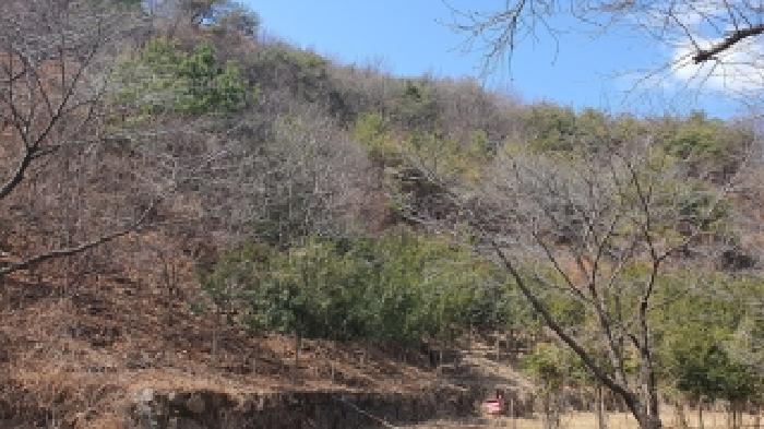 경남 김해시 생림면 임야 경매 물건 사진 2 · 2026타경20