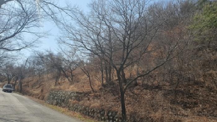 경남 김해시 생림면 임야 경매 물건 사진 3 · 2026타경20