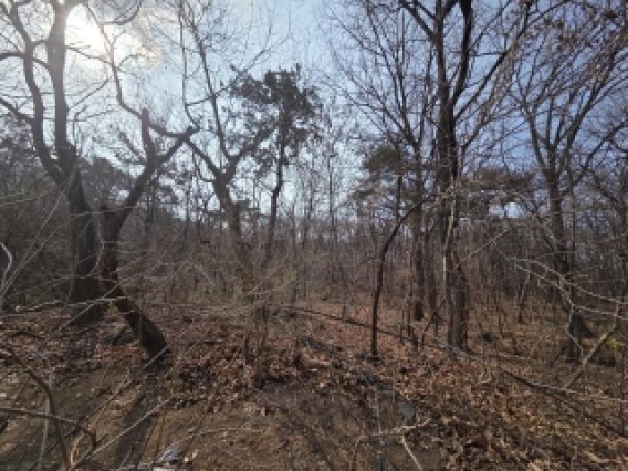 경남 창원시 의창구 도계동 임야 경매 물건 사진