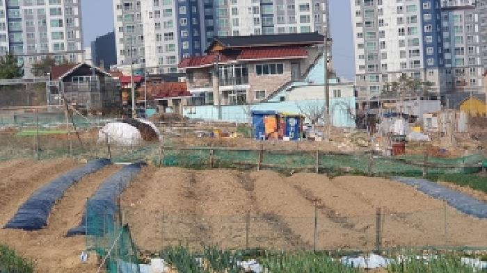 경남 김해시 진영읍 전 경매 물건 사진
