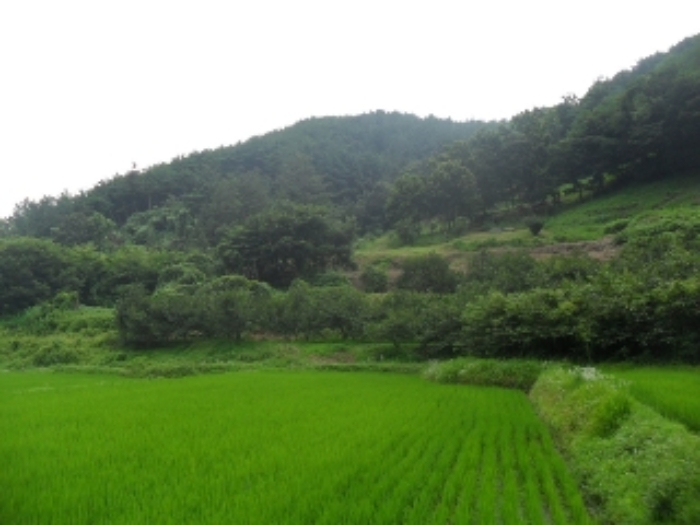 경남 사천시 사천읍 대지 경매 물건 사진 3 · 2023타경34103