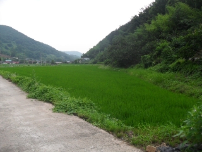 경남 사천시 사천읍 대지 경매 물건 사진 5 · 2023타경34103