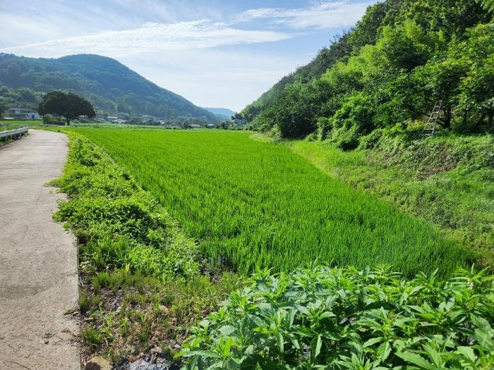 경남 사천시 사천읍 대지 경매 물건 사진 6 · 2023타경34103