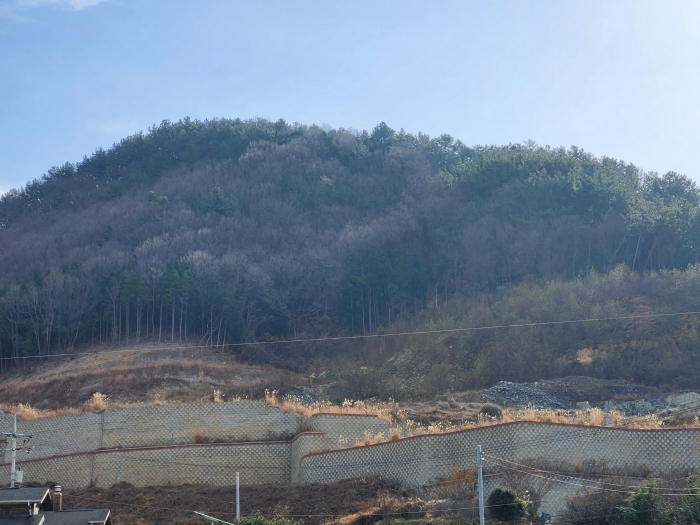 경상남도 사천시 실안동 산247-1 답 경매 물건 사진