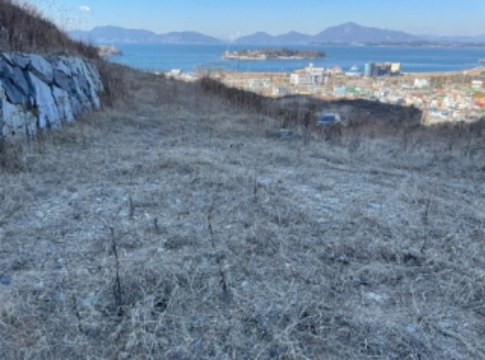 경남 사천시 실안동 답 경매 물건 사진