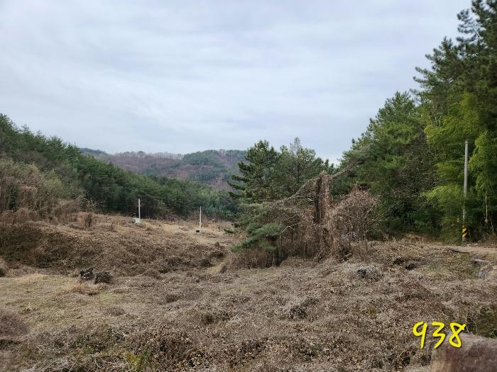 경남 남해군 고현면 답 경매 물건 사진 6 · 2023타경39481