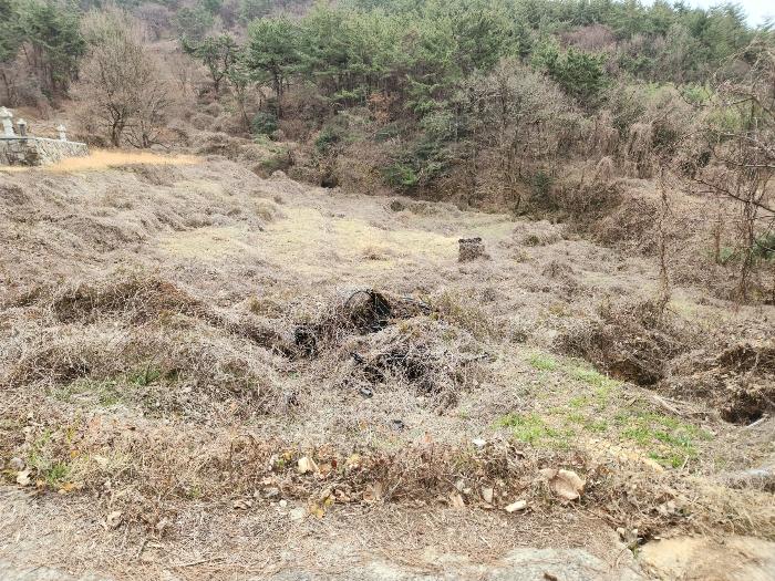 경남 남해군 고현면 전 경매 물건 사진 3 · 2023타경39481
