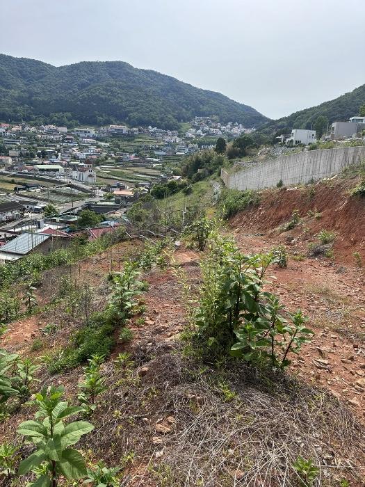 경남 남해군 삼동면 전 경매 물건 사진 4 · 2024타경2288
