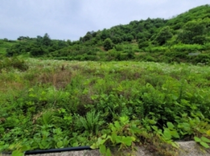 경남 진주시 상봉동 전 경매 물건 사진 2 · 2024타경3281