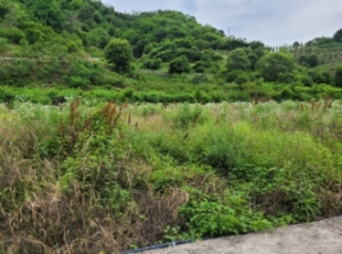 경남 진주시 상봉동 전 경매 물건 사진 4 · 2024타경3281