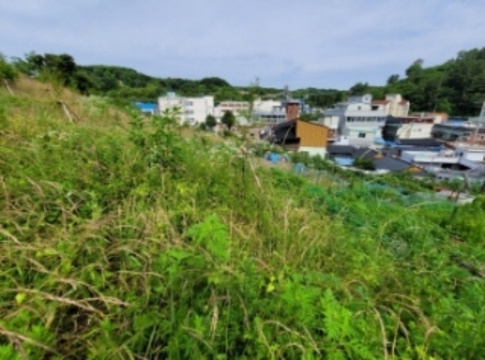 경남 진주시 상봉동 전 경매 물건 사진 6 · 2024타경3281
