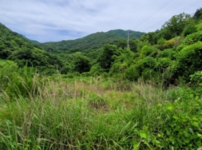경남 하동군 화개면 답 경매 물건 사진 2 · 2024타경3328