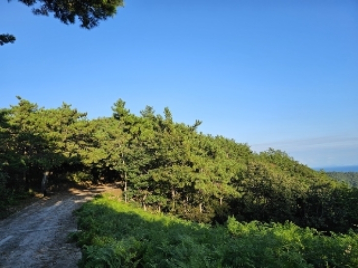 경남 남해군 창선면 임야 경매 물건 사진