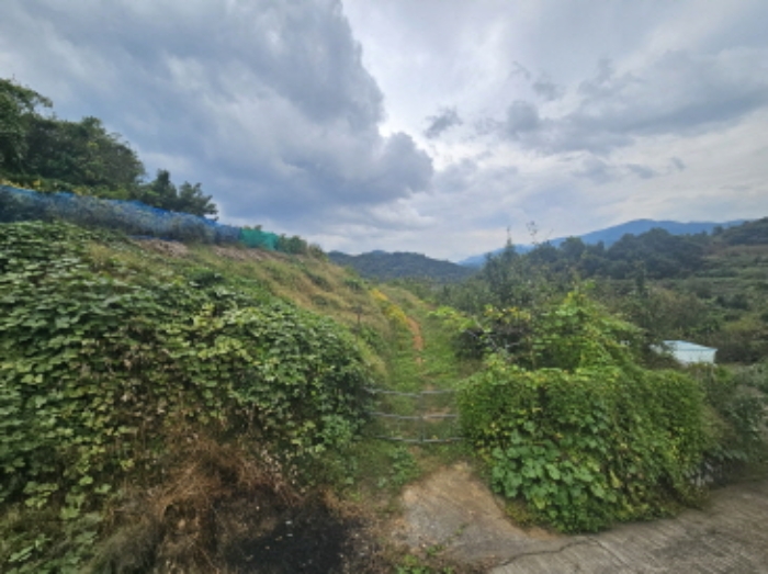 경남 하동군 하동읍 과수원 경매 물건 사진