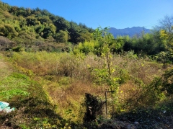 경남 하동군 고전면 답 경매 물건 사진 5 · 2024타경38874