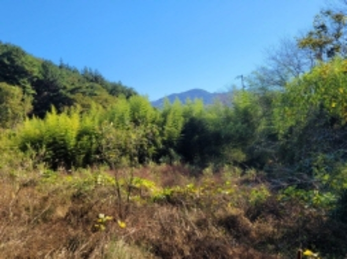 경남 하동군 고전면 답 경매 물건 사진 6 · 2024타경38874