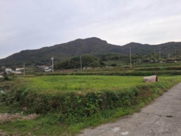 경남 남해군 남면 답 경매 물건 사진 6 · 2024타경38942