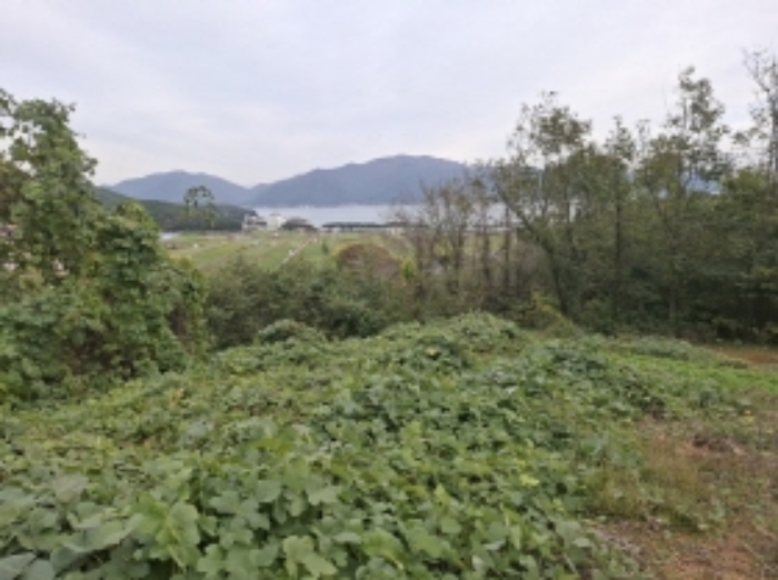 경남 남해군 남면 전 경매 물건 사진 2 · 2024타경38959