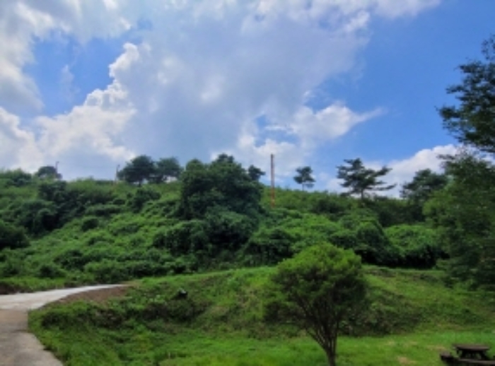 경남 하동군 북천면 임야 경매 물건 사진