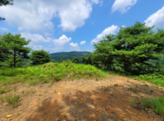 경남 하동군 북천면 임야 경매 물건 사진 3 · 2024타경3915