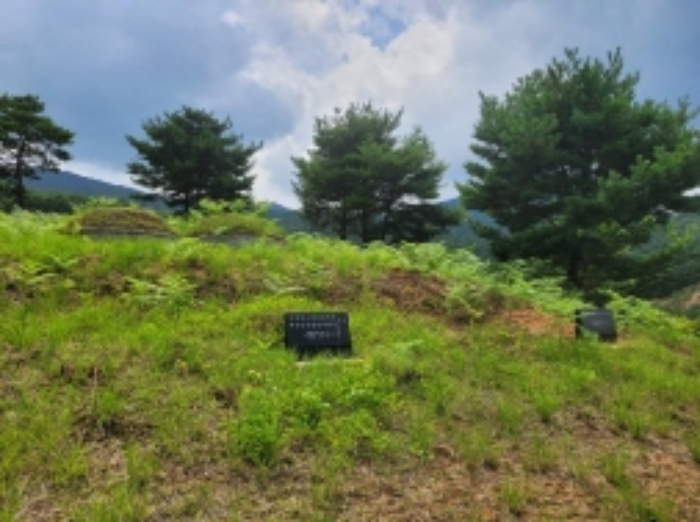 경남 하동군 북천면 임야 경매 물건 사진 4 · 2024타경3915