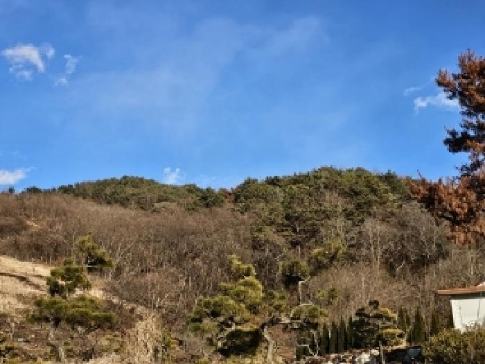 경남 하동군 적량면 대지,임야,전답 경매 물건 사진