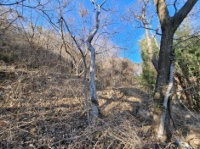 경남 남해군 상주면 전 경매 물건 사진 3 · 2024타경40235