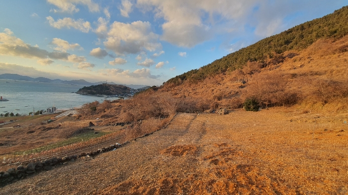 경상남도 남해군 남면 선구리 산75 임야 경매 물건 사진