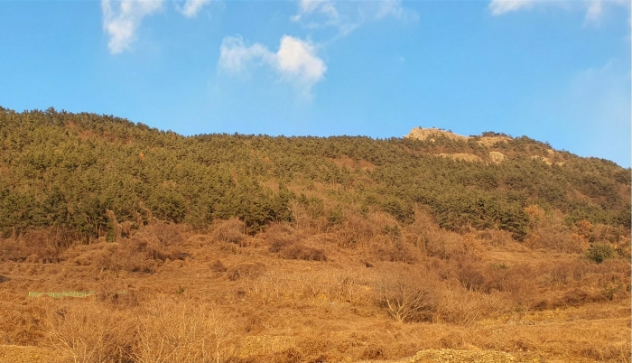 경남 남해군 남면 임야 경매 물건 사진 6 · 2024타경40358