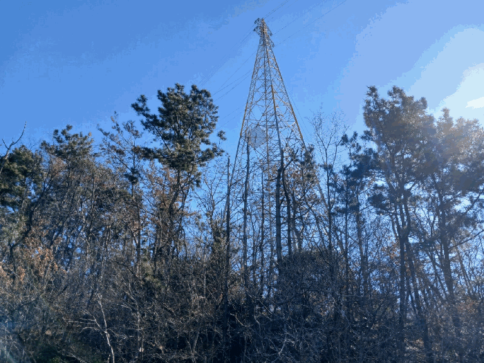 경남 하동군 금남면 임야 경매 물건 사진 4 · 2024타경40488