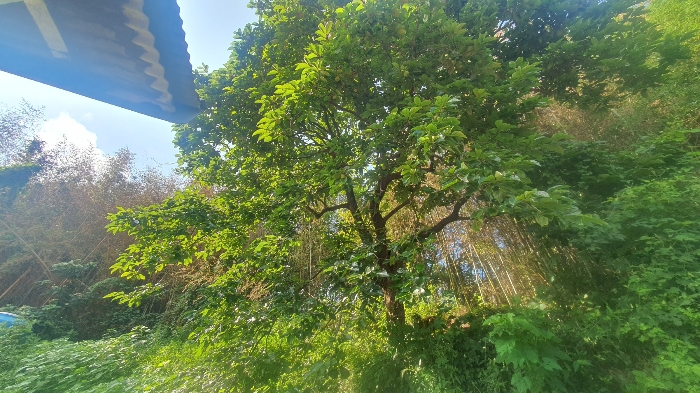 경남 남해군 삼동면 전 경매 물건 사진 5 · 2024타경4277