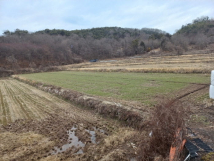 경남 사천시 곤양면 답 경매 물건 사진 6 · 2024타경459