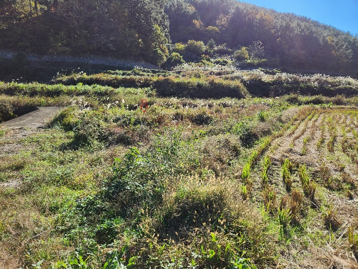 경상남도 남해군 삼동면 지족리 619 답 경매 물건 사진