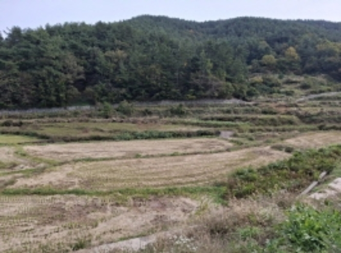 경남 남해군 삼동면 답 경매 물건 사진