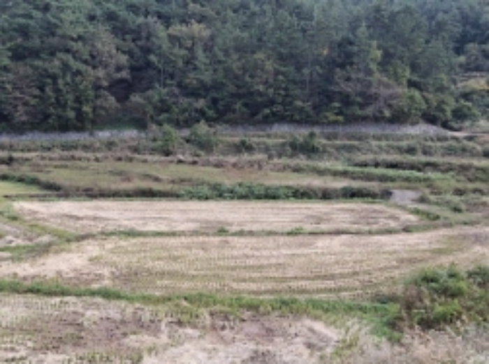 경남 남해군 삼동면 답 경매 물건 사진 3 · 2024타경5850