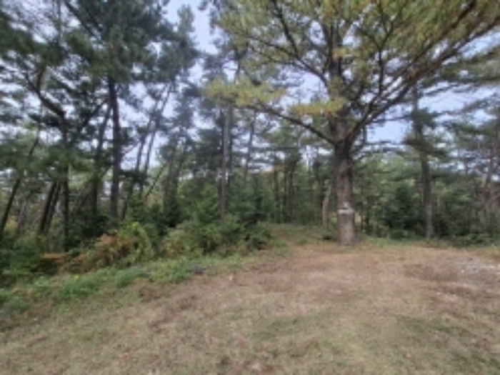 경남 남해군 삼동면 답 경매 물건 사진 5 · 2024타경5850