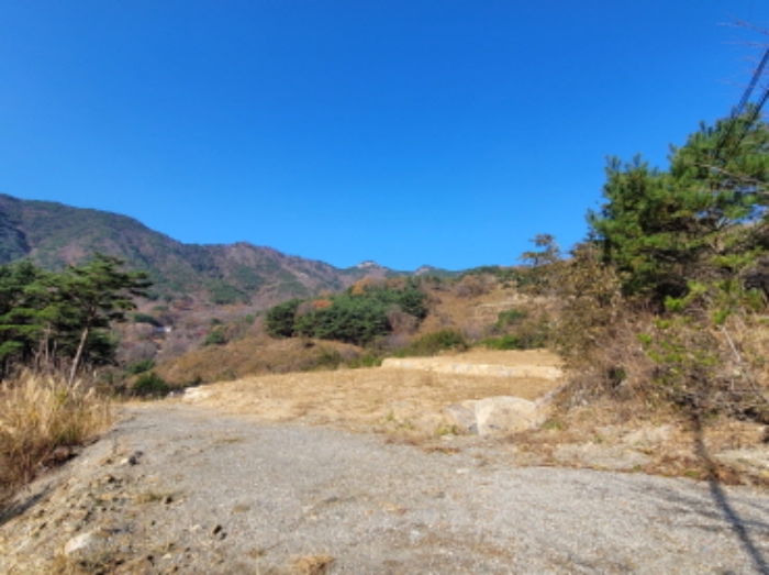 경남 산청군 신안면 임야 경매 물건 사진