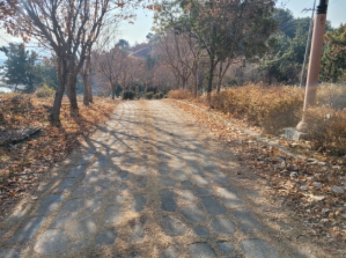 경남 하동군 금남면 도로 경매 물건 사진 3 · 2024타경6587