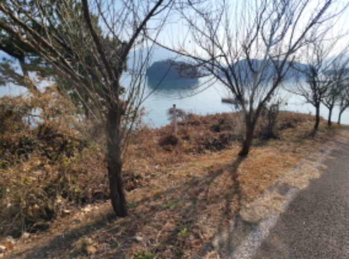경남 하동군 금남면 도로 경매 물건 사진 4 · 2024타경6587