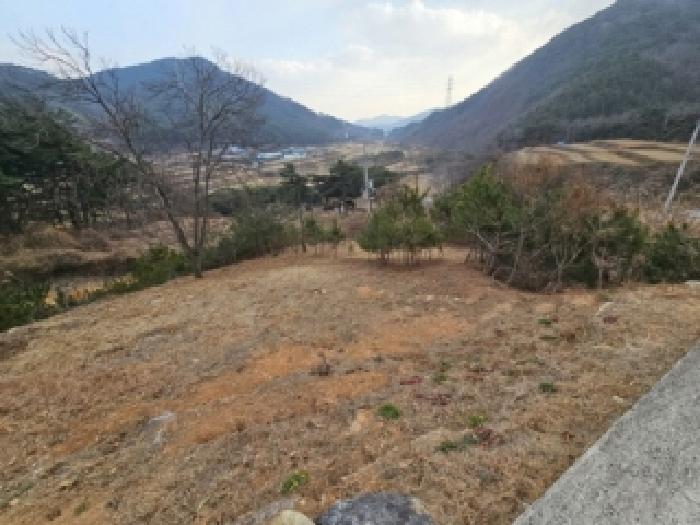 경남 산청군 단성면 임야 경매 물건 사진