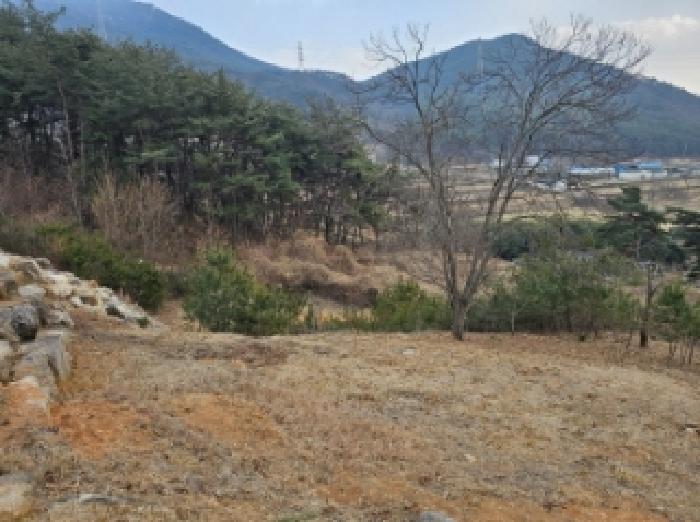 경남 산청군 단성면 임야 경매 물건 사진 2 · 2024타경6624
