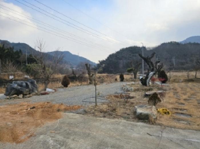 경남 산청군 단성면 임야 경매 물건 사진 5 · 2024타경6624