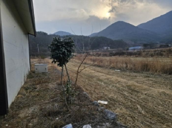 경남 산청군 단성면 임야 경매 물건 사진 6 · 2024타경6624