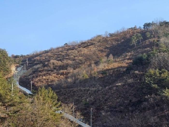 경남 진주시 명석면 과수원 경매 물건 사진 2 · 2024타경6686