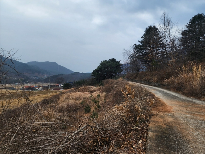 경남 산청군 단성면 임야 경매 물건 사진 5 · 2024타경6693