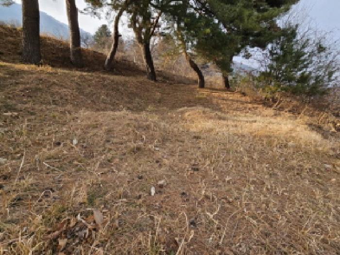 경남 산청군 단성면 임야 경매 물건 사진 3 · 2024타경6693